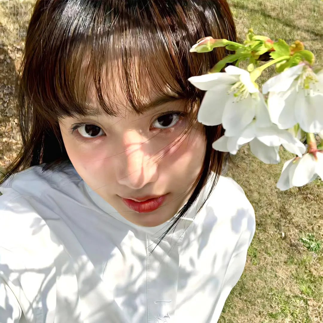 美人心